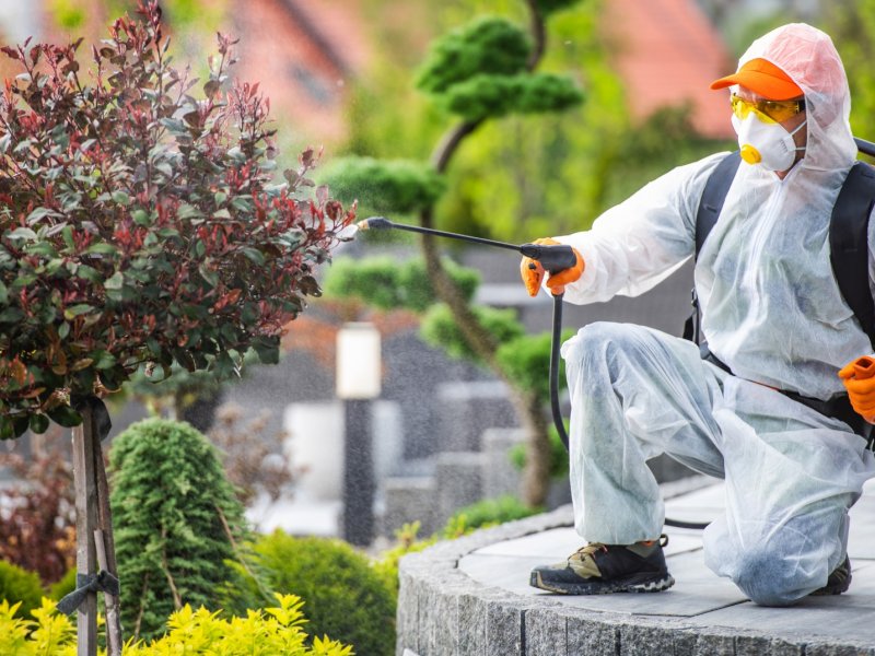 Haliliye Haşere İlaçlama